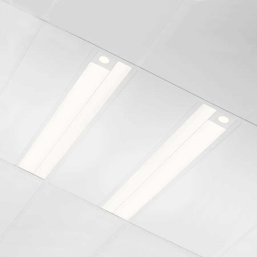 Rize — Linear by Lumenwerx